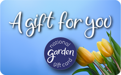 NGGC EGC 202604 A Gift for you Yellow Tulips