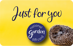 NGGC EGC 202604 Just for you Hedgehog