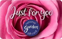 NGGC EGC 202604 Just for you Pink Rose