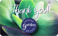 NGGC EGC 202604 Thank you succulent