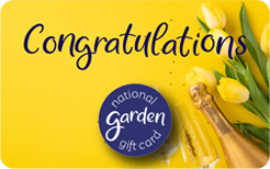 NGGC Congratulations Fizz Tulips - Personalised