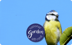 NGGC EGC 202604 Animated Blue Tit