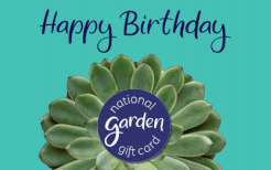 NGGC EGC 202604 Animated Happy Birthday Succulent