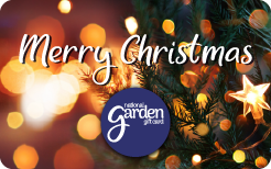 Christmas Lights 2025