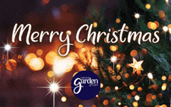 Christmas Lights 2025 Animated