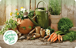 GC Carrots